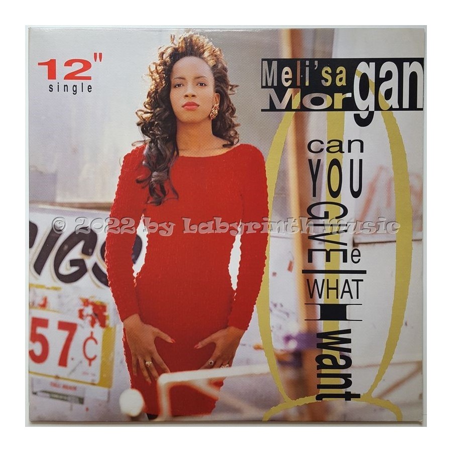 Meli'sa Morgan - Can You Give Me What I Want • 12" Vinyl Maxi • MINT - Labyrinth Music