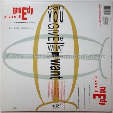 Meli'sa Morgan - Can You Give Me What I Want • 12" Vinyl Maxi • MINT - Labyrinth Music