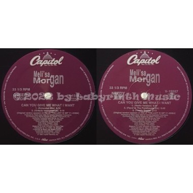 Meli'sa Morgan - Can You Give Me What I Want • 12" Vinyl Maxi • MINT - Labyrinth Music