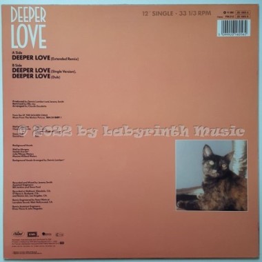 Meli'sa Morgan - Deeper Love • 12" Vinyl Maxi • NM - Labyrinth Music