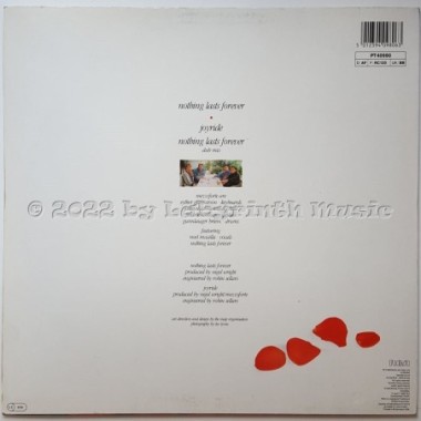 Mezzoforte - Nothing Lasts Forever • 12" Vinyl Maxi • EX - Labyrinth Music