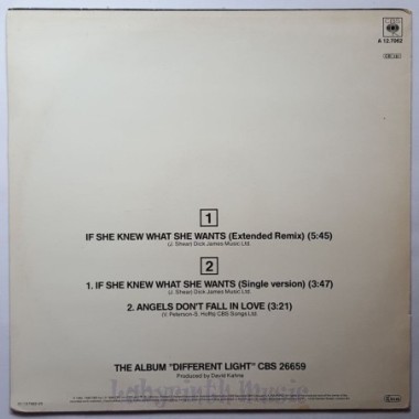 Bangles - If She Knew What She Wants • 12" Vinyl Maxi • EX - Labyrinth Music