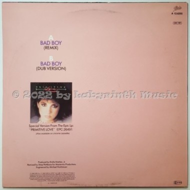 Miami Sound Machine - Bad Boy • Remix • 12" Vinyl Maxi • EX - Labyrinth Music