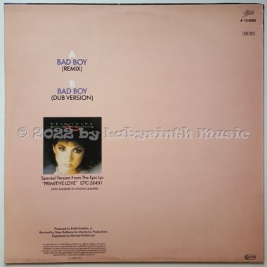 Miami Sound Machine - Bad Boy • Remix • 12" Vinyl Maxi • EX - Labyrinth Music