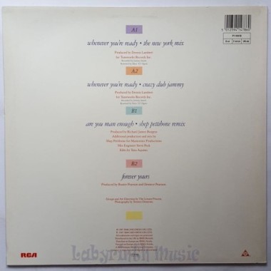 5 Star - Whenever You're Ready • The New York Mix • 12" Vinyl Maxi • NM - Labyrinth Music