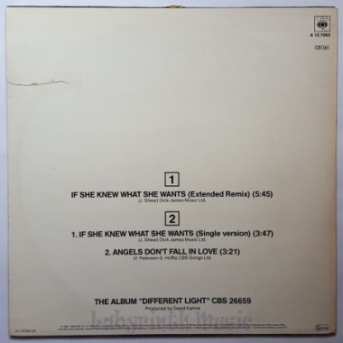 Bangles - If She Knew What She Wants • 12" Vinyl Maxi - Labyrinth Music