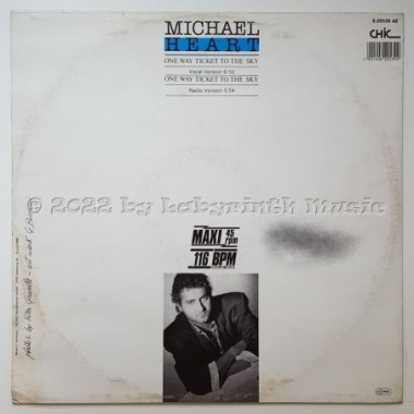 Michael Heart - One Way Ticket To The Sky • 12" Vinyl Maxi • EX - Labyrinth Music