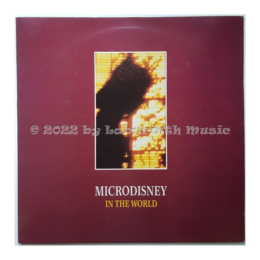 Microdisney - In The World • 12" Vinyl Maxi • EX - Labyrinth Music