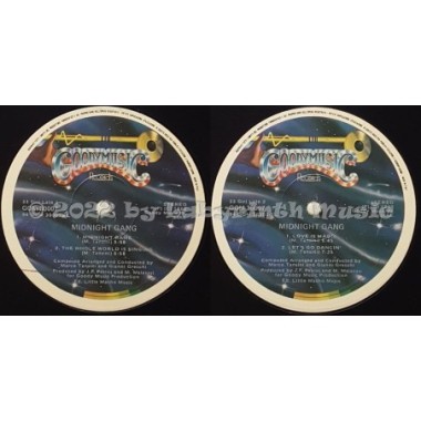 Midnight Gang - Love Is Magic • 12" Vinyl LP • EX - Labyrinth Music