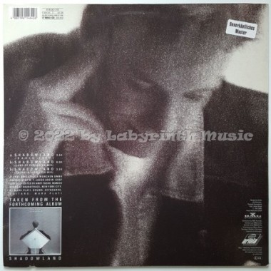 Mike Linney - Shadowland • 12" Vinyl Maxi • MINT - Labyrinth Music