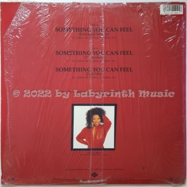 Millie Jackson - Something You Can Feel • 12" Vinyl Maxi • EX - Labyrinth Music