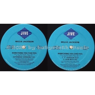 Millie Jackson - Something You Can Feel • 12" Vinyl Maxi • EX - Labyrinth Music