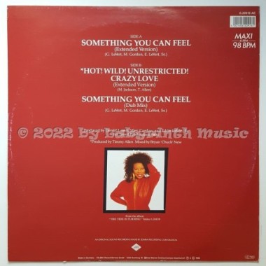 Millie Jackson - Something You Can Feel • 12" Vinyl Maxi - Labyrinth Music