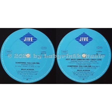 Millie Jackson - Something You Can Feel • 12" Vinyl Maxi - Labyrinth Music
