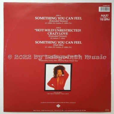 Millie Jackson - Something You Can Feel • 12" Vinyl Maxi • MINT - Labyrinth Music