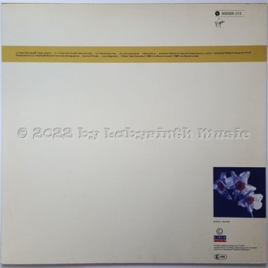 Millions Like Us - In Love With Yourself • 12" Vinyl Maxi • NM - Labyrinth Music