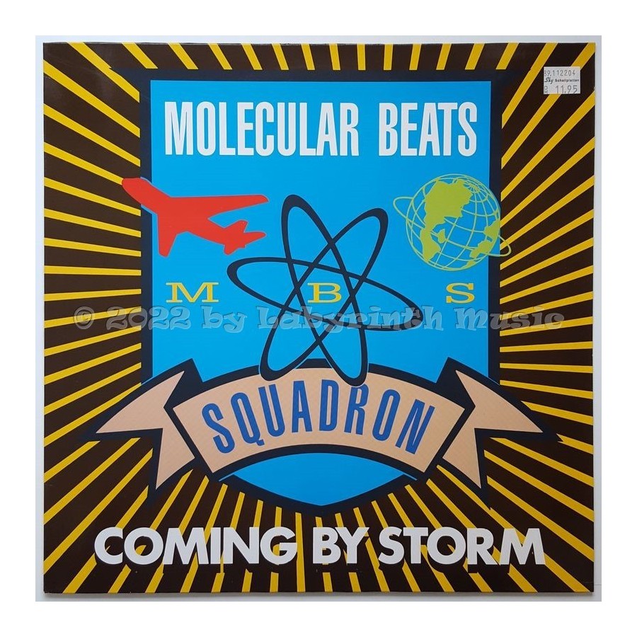 Molecular Beats Squadron - Coming By Storm • 12" Vinyl Maxi • EX - Labyrinth Music