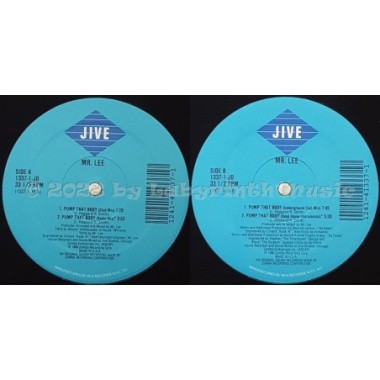 Mr. Lee - Pump That Body • 12" Vinyl Maxi • EX - Labyrinth Music