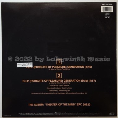 Mtume - P.O.P. (Pursuits Of Pleasure) Generation • 12" Vinyl Maxi • NM - Labyrinth Music