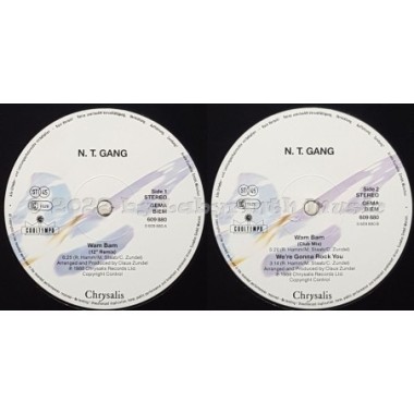 N.T. Gang - Wam Bam • 12" Vinyl Maxi • EX - Labyrinth Music
