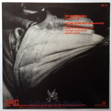 501's - We Are Invincible • 12" Vinyl Maxi - Labyrinth Music