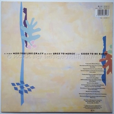 Natalie Cole - Miss You Like Crazy • 12" Vinyl Maxi - Labyrinth Music