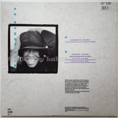 Natalie Cole - Wild Women Do • 12" Vinyl Maxi • MINT - Labyrinth Music