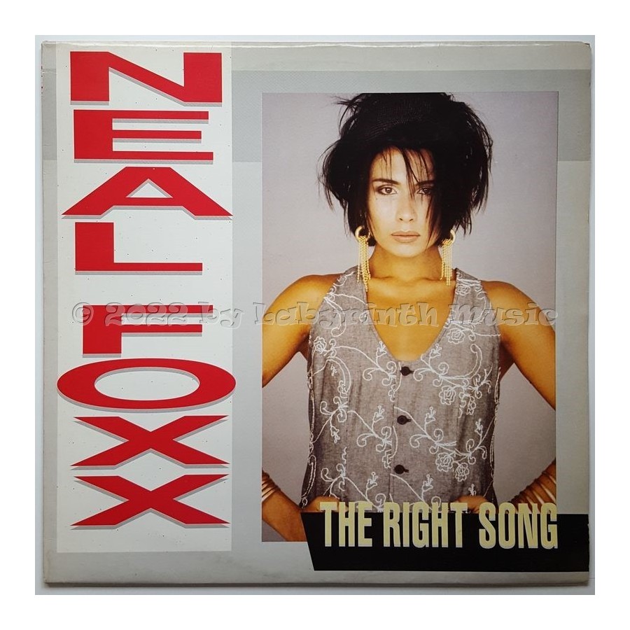 Neal Foxx - The Right Song • 12" Vinyl Maxi • EX - Labyrinth Music