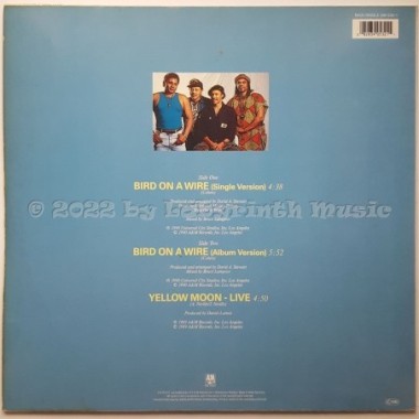 The Neville Brothers - Bird On A Wire • 12" Vinyl Maxi • EX - Labyrinth Music
