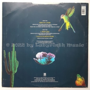 The Neville Brothers - Bird On A Wire • 12" Vinyl Maxi - Labyrinth Music