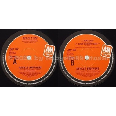 The Neville Brothers - Bird On A Wire • 12" Vinyl Maxi - Labyrinth Music