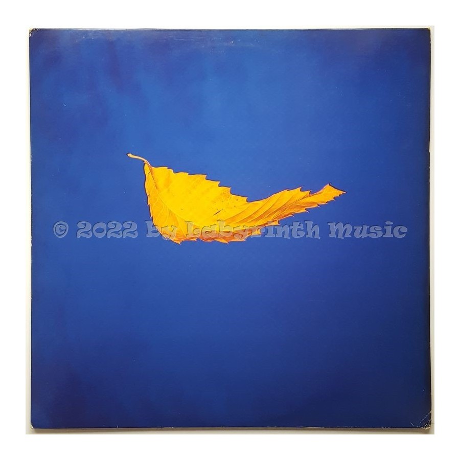 New Order - True Faith • 12" Vinyl Maxi • EX - Labyrinth Music