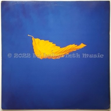 New Order - True Faith • 12" Vinyl Maxi • EX - Labyrinth Music
