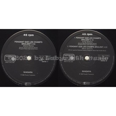 Niagara - Pendant Que Les Champs Brûlent • 12" Vinyl Maxi • EX - Labyrinth Music