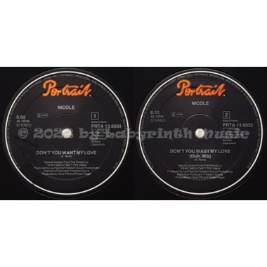 Nicole McCloud - Don't You Want My Love • 12" Vinyl Maxi - Labyrinth Music