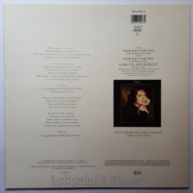 Basia - New Day For You • 12" Vinyl Maxi • MINT - Labyrinth Music
