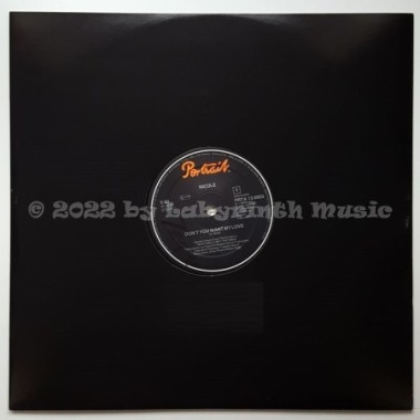 Nicole McCloud - Don't You Want My Love • 12" Vinyl Maxi - Labyrinth Music