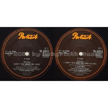 Nicole McCloud - Don't You Want My Love? • 12" Vinyl Maxi - Labyrinth Music