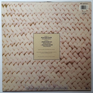 Basia - Run For Cover • 12" Vinyl Maxi • EX - Labyrinth Music