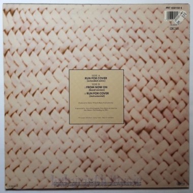 Basia - Run For Cover • 12" Vinyl Maxi • MINT - Labyrinth Music