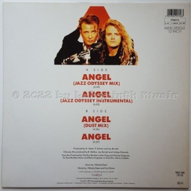 Nikolaj Steen - Angel • 12" Vinyl Maxi • MINT - Labyrinth Music