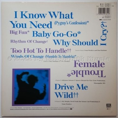 Nona Hendryx - Female Trouble • 12" Vinyl LP • NM - Labyrinth Music