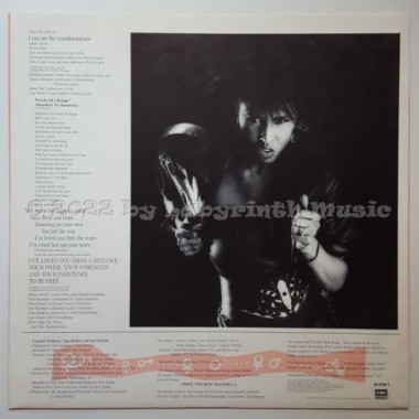 Nona Hendryx - Female Trouble • 12" Vinyl LP • NM - Labyrinth Music