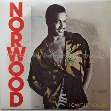 Norwood - I Can't Let You Go • 12" Vinyl Maxi • EX - Labyrinth Music