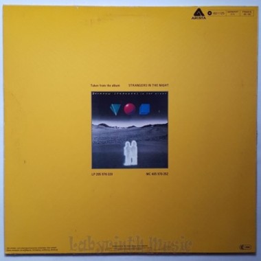 Baumann - Strangers In The Night • 12" Vinyl Maxi - Labyrinth Music
