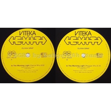 Olivia Gray - In The Morning Light • 12" Vinyl Maxi • MINT - Labyrinth Music