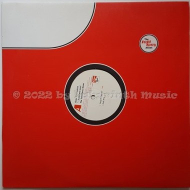 Basic Connection - Habla Me Luna • The Todd Terry Mixes • 12" Vinyl Maxi • NM - Labyrinth Music