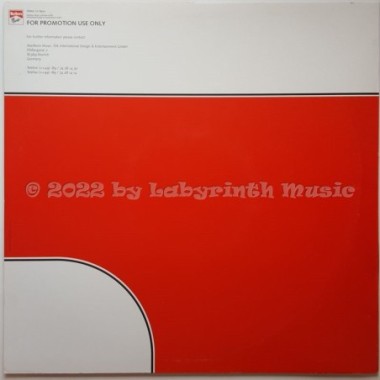 Basic Connection - Habla Me Luna • The Todd Terry Mixes • 12" Vinyl Maxi • NM - Labyrinth Music