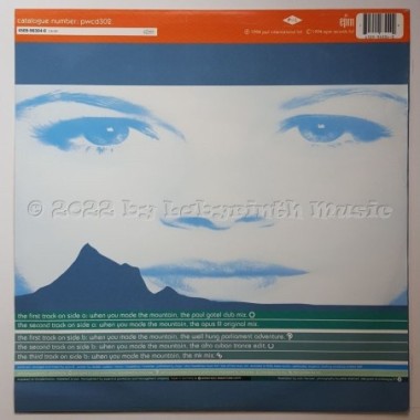 Opus III - When You Made The Mountain • 12" Vinyl Maxi • NM - Labyrinth Music