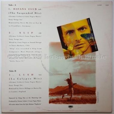 Ottmar Liebert & Luna Negra - Club Sampler • 12" Vinyl Maxi • EX - Labyrinth Music